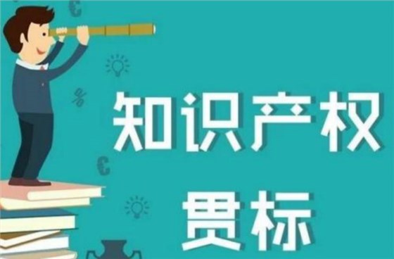 深圳卓航信息揭秘2019年知识产权贯标审核排队时长